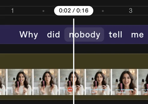 Captions web editing workspace